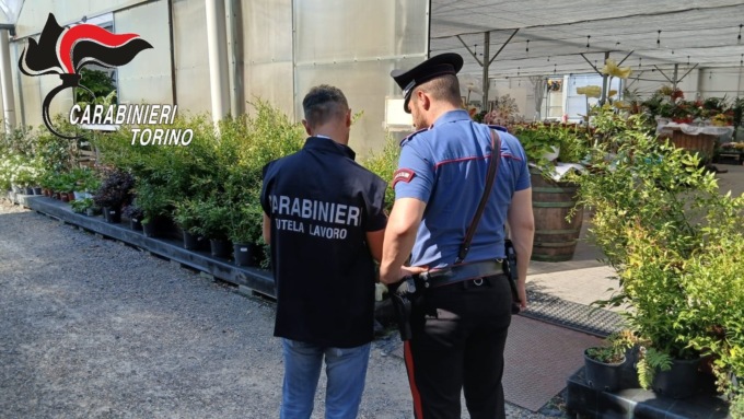 Caporalato e sicurezza sul lavoro: controlli in 14 aziende agricole torinesi
