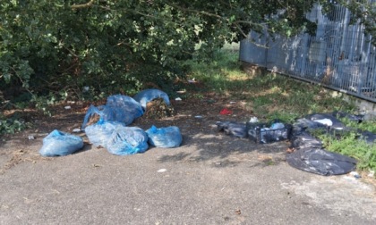 Piazza Freidano tra degrado e progetti futuri