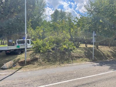 Emergenza buche, arriva una ditta specializzata