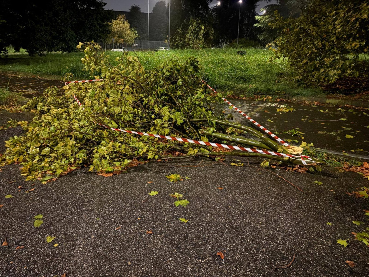 Maltempo a Venaria, raffiche oltre i 60 km/h e numerosi interventi