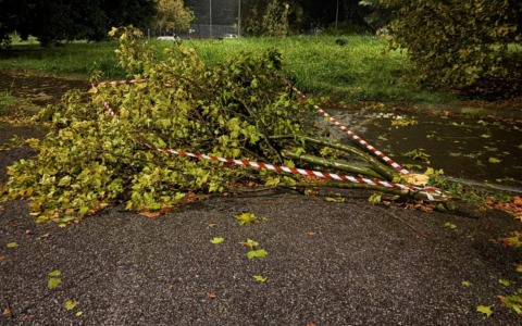 Maltempo a Venaria, raffiche oltre i 60 km/h e numerosi interventi