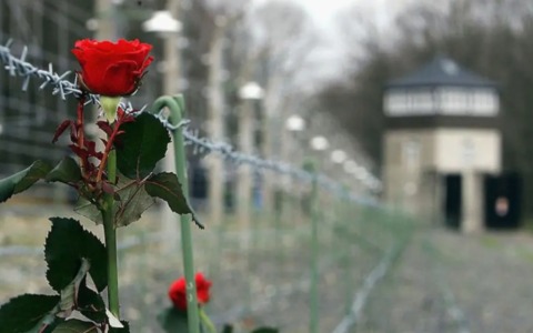 Memo4EU: un viaggio nei luoghi della memoria per i giovani della Città Metropolitana