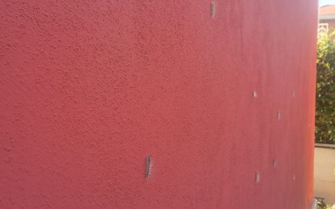 Via Castiglione lotta con la processionaria