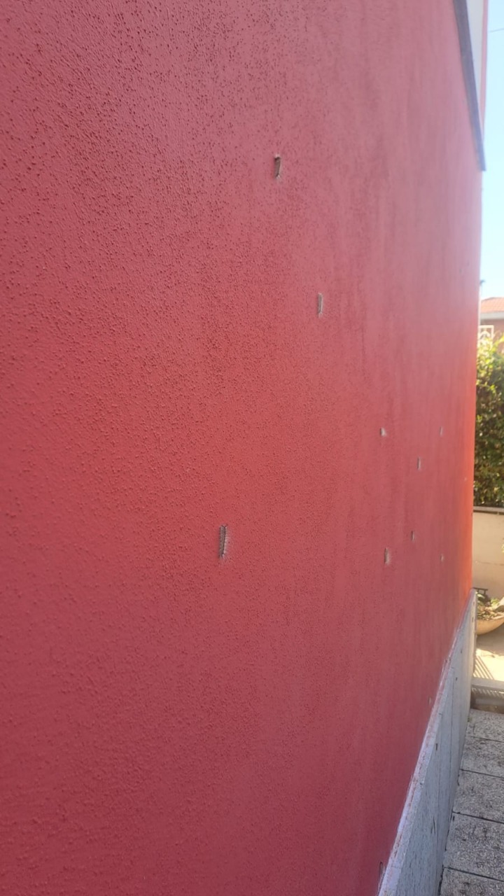 Via Castiglione lotta con la processionaria