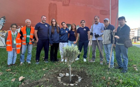 San Mauro Torinese, due ulivi simbolo di pace donati dall’Allotreb al Comune