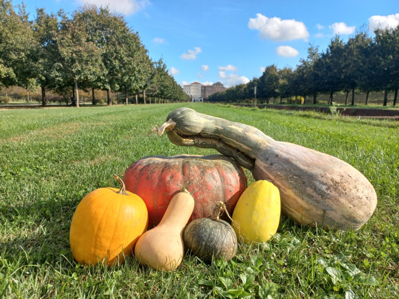 Halloween alla Reggia: spettacoli coinvolgenti e laboratori creativi per bambini e famiglie