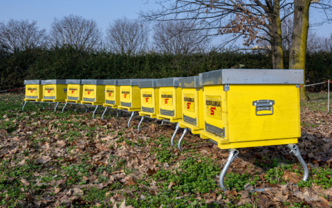 Esselunga presenta i risultati del Piano di Sostenibilità al 2024