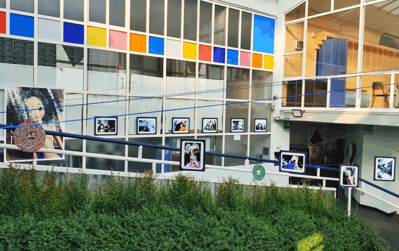 Cosa fare a Settimo Torinese nel fine settimana: gli eventi del 18 e 19 ottobre