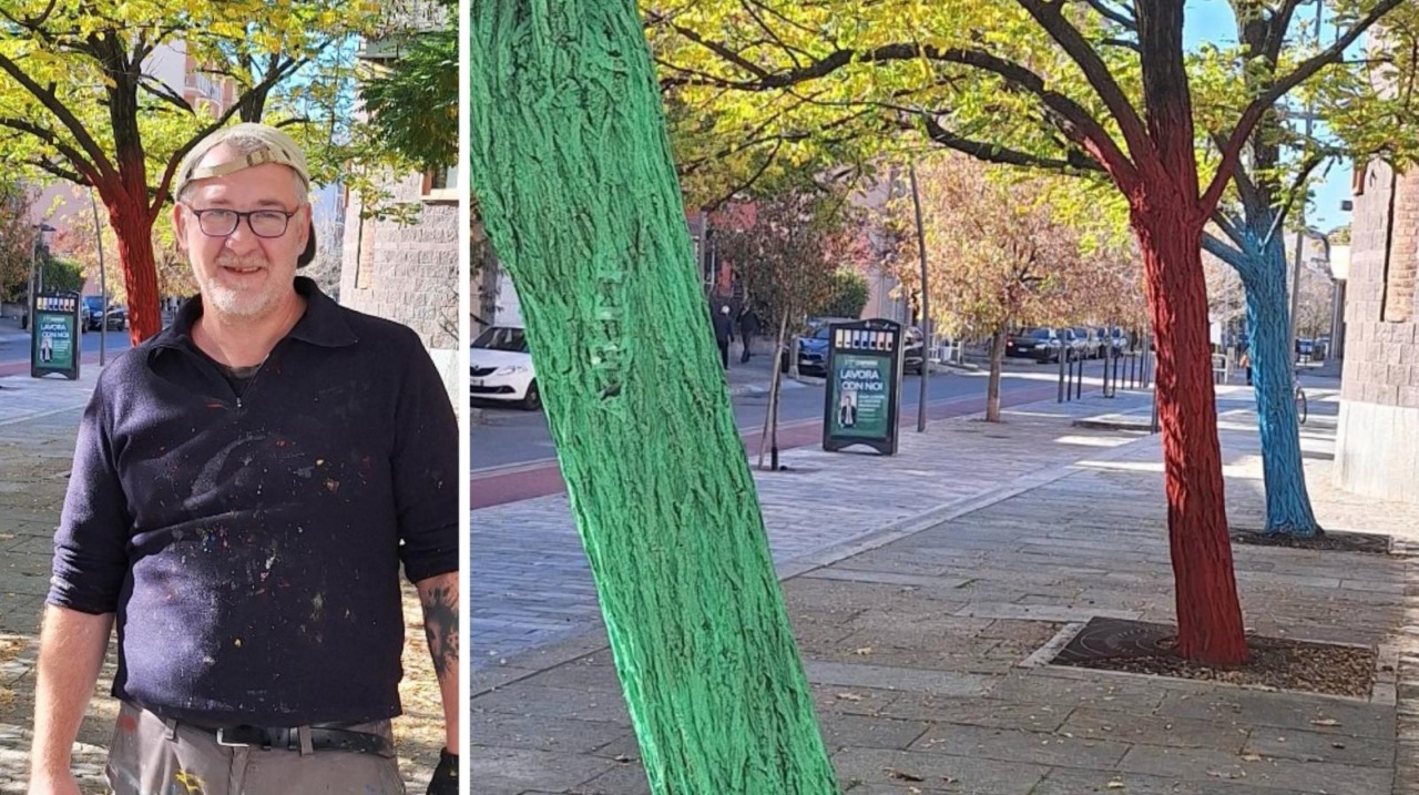 A Settimo Torinese gli alberi si colorano… ecco perché