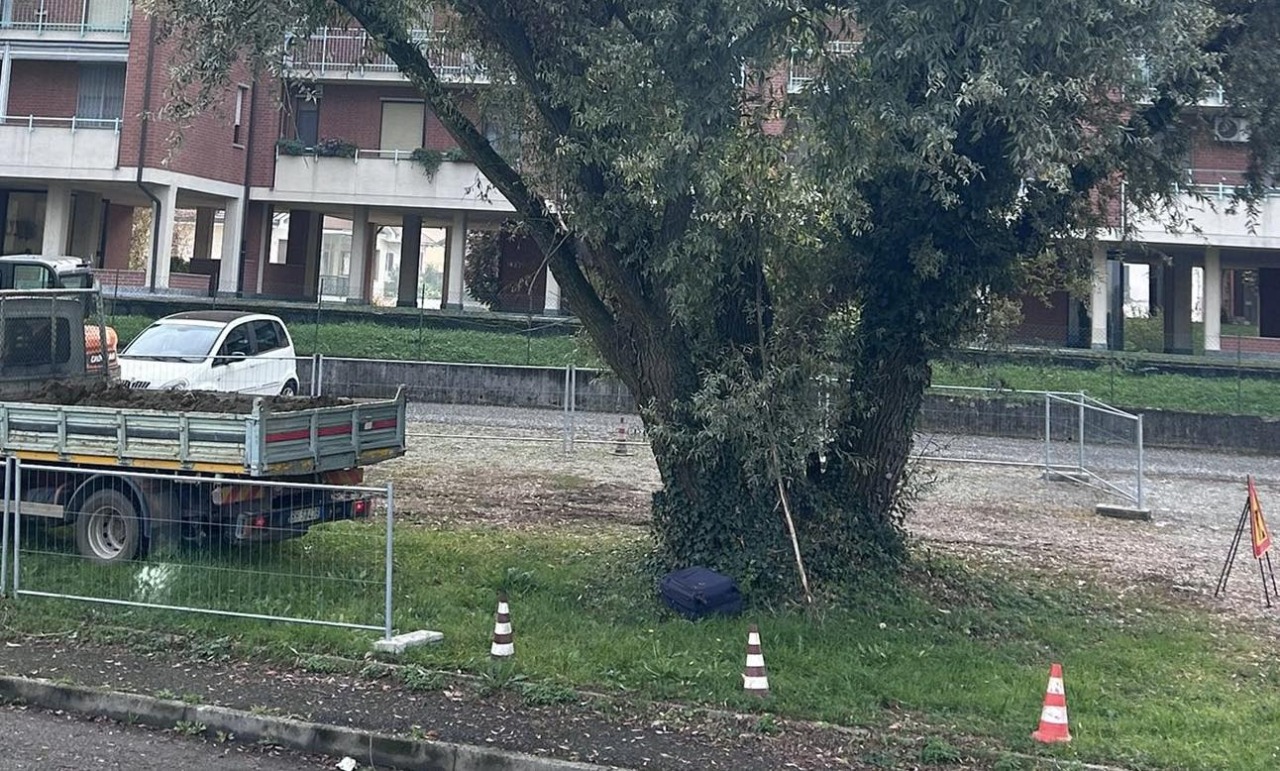 San Mauro Torinese: al via le potature autunnali del verde pubblico