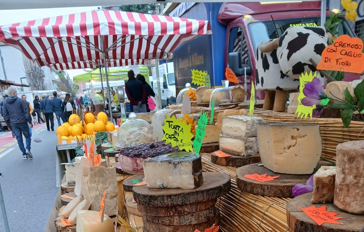 Cosa fare a Settimo Torinese nel fine settimana: gli eventi del 25 e 26 ottobre