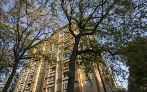 Fondo sociale per chi non riesce a pagare l’affitto di casa contributo della Regione