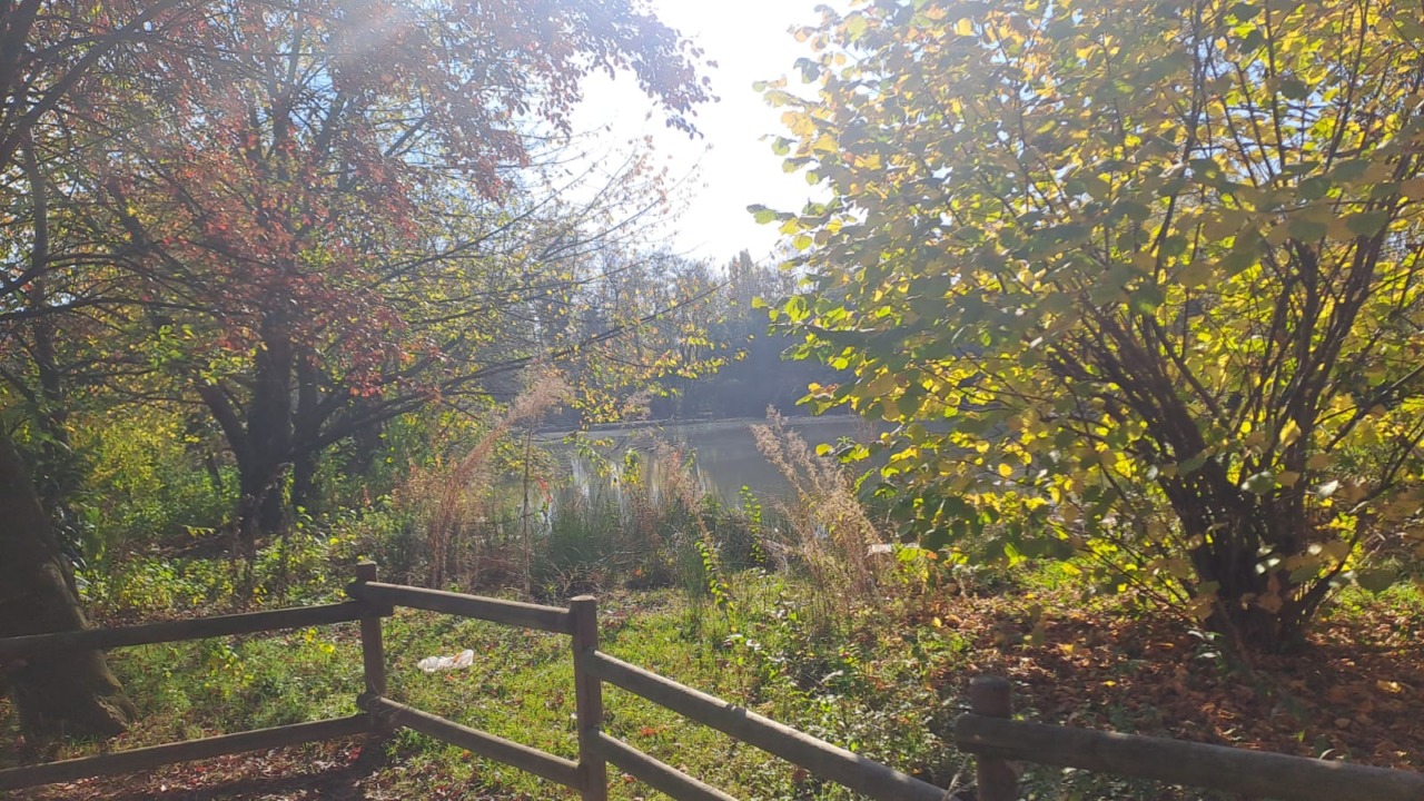 Vede il corpo di una donna nel lago: passante fa scattare i soccorsi