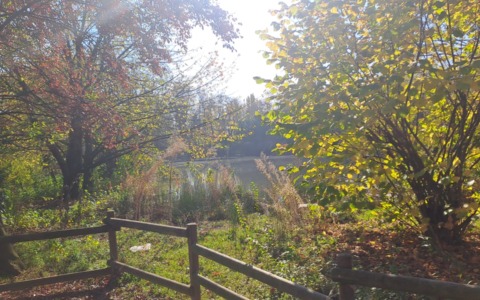 Vede il corpo di una donna nel lago: passante fa scattare i soccorsi