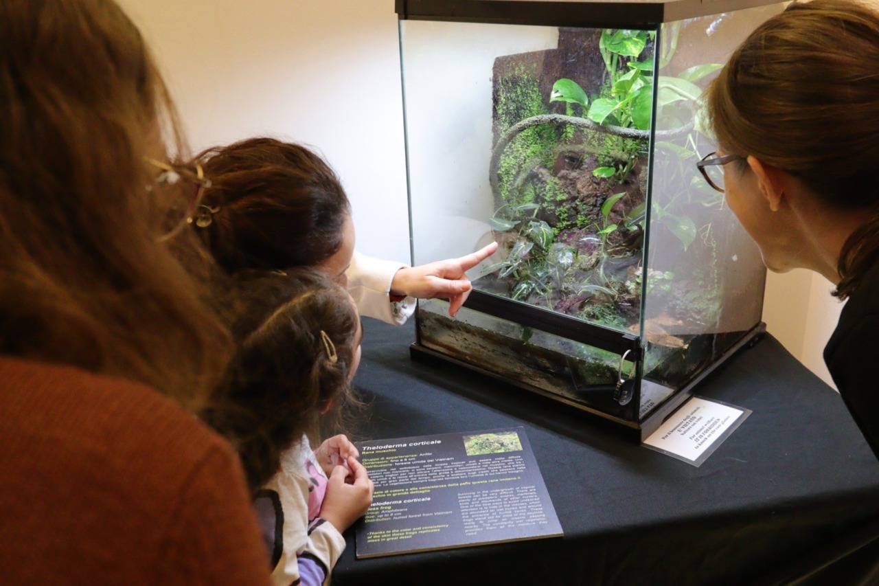 Cosa fare a Settimo Torinese e dintorni nel fine settimana: gli eventi del 21 e 22 novembre