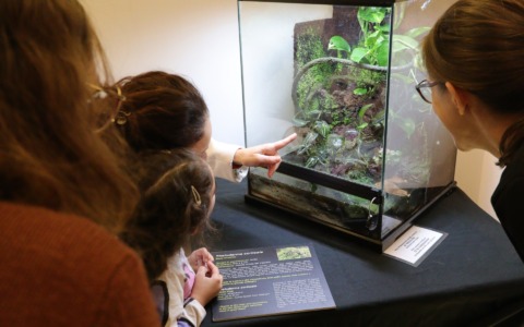 Cosa fare a Settimo Torinese e dintorni nel fine settimana: gli eventi del 21 e 22 novembre