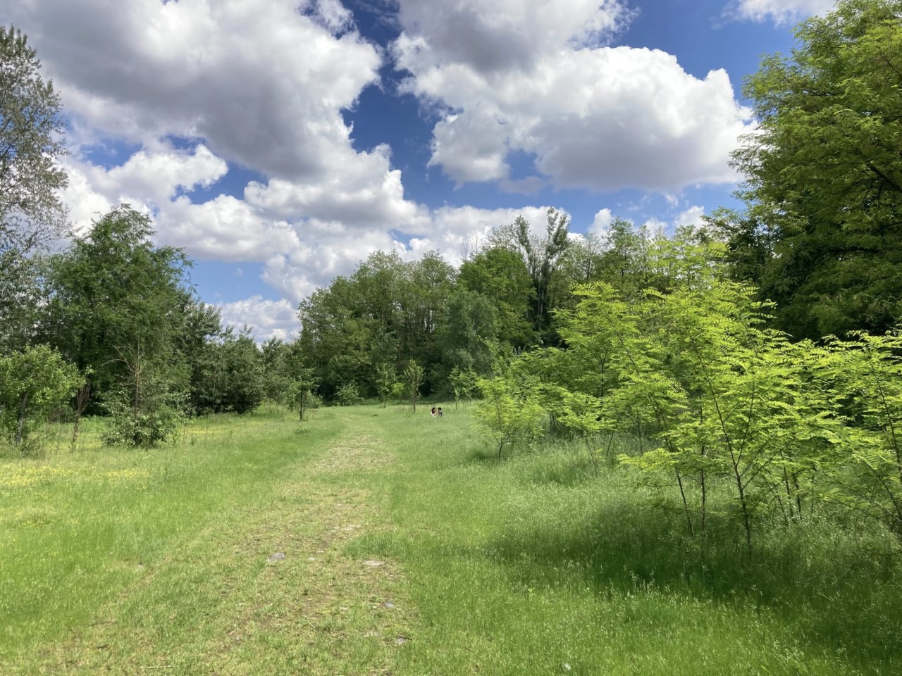 Venaria, oltre 2 milioni per far rinascere la Corona Verde