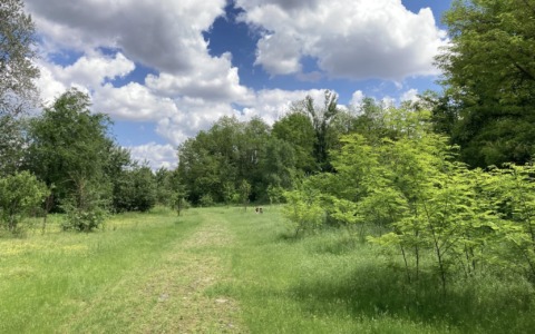 Venaria, oltre 2 milioni per far rinascere la Corona Verde