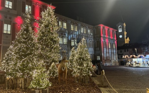 “Vivi le feste” a Settimo Torinese: parte il calendario di eventi tra luci, musica e tradizione