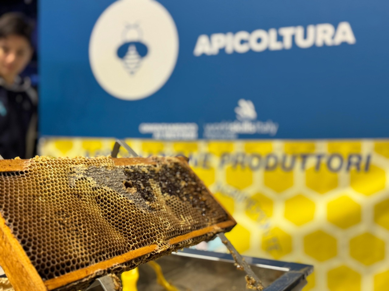 Il “Regno delle api” arriva nelle scuole: contributi regionali anche a Settimo e Castiglione