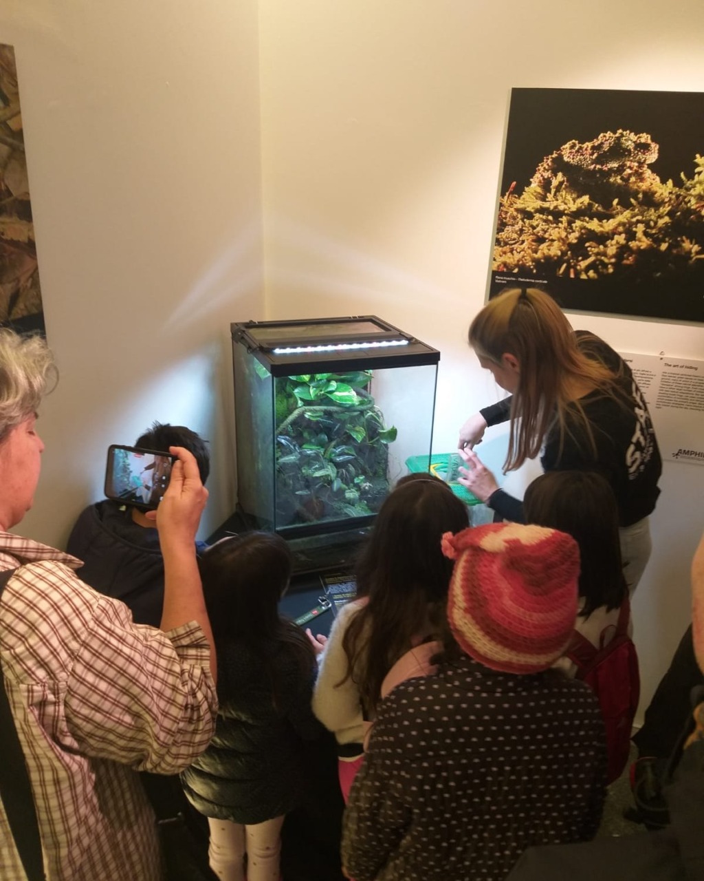 Cosa fare a Settimo Torinese e dintorni nel fine settimana: gli eventi del 10 e 11 gennaio