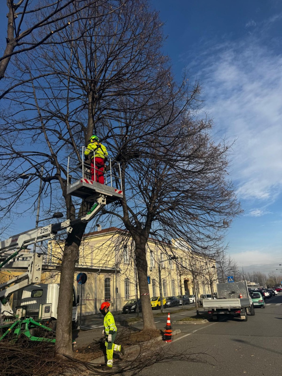 Settimo Torinese: partiti i lavori di potatura in tutta la città