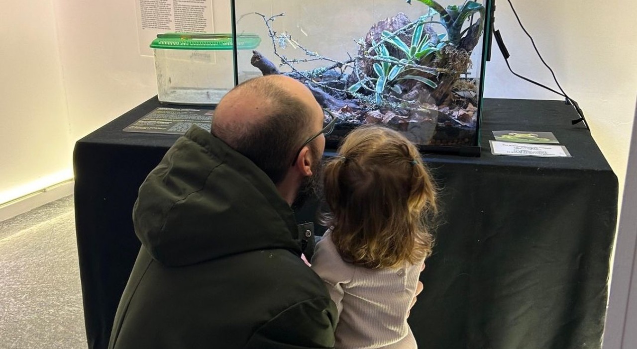 Cosa fare a Settimo Torinese nel fine settimana: gli eventi del 21 e 22 febbraio 2026