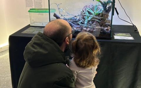 Cosa fare a Settimo Torinese nel fine settimana: gli eventi del 21 e 22 febbraio 2026