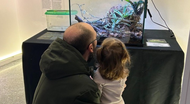 Cosa fare a Settimo Torinese nel fine settimana: gli eventi del 21 e 22 febbraio 2026