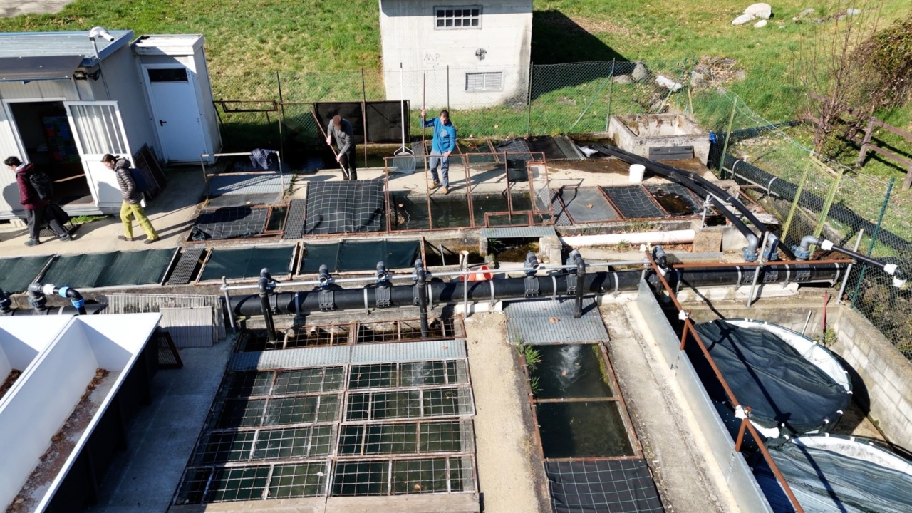 Pesca 2026: tutte le regole, licenze e permessi nella Città metropolitana di Torino