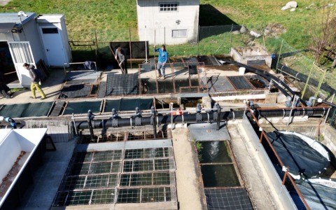 Pesca 2026: tutte le regole, licenze e permessi nella Città metropolitana di Torino