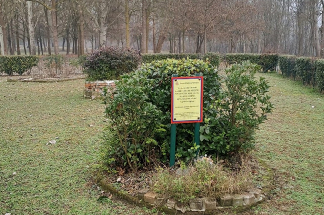 Il giardino del ricordo di Settimo sotto la lente: c’è chi si interroga su quei “cumuli di ceneri”