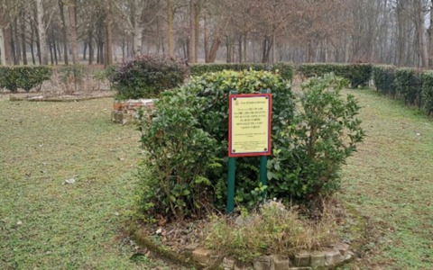 Il giardino del ricordo di Settimo sotto la lente: c’è chi si interroga su quei “cumuli di ceneri”