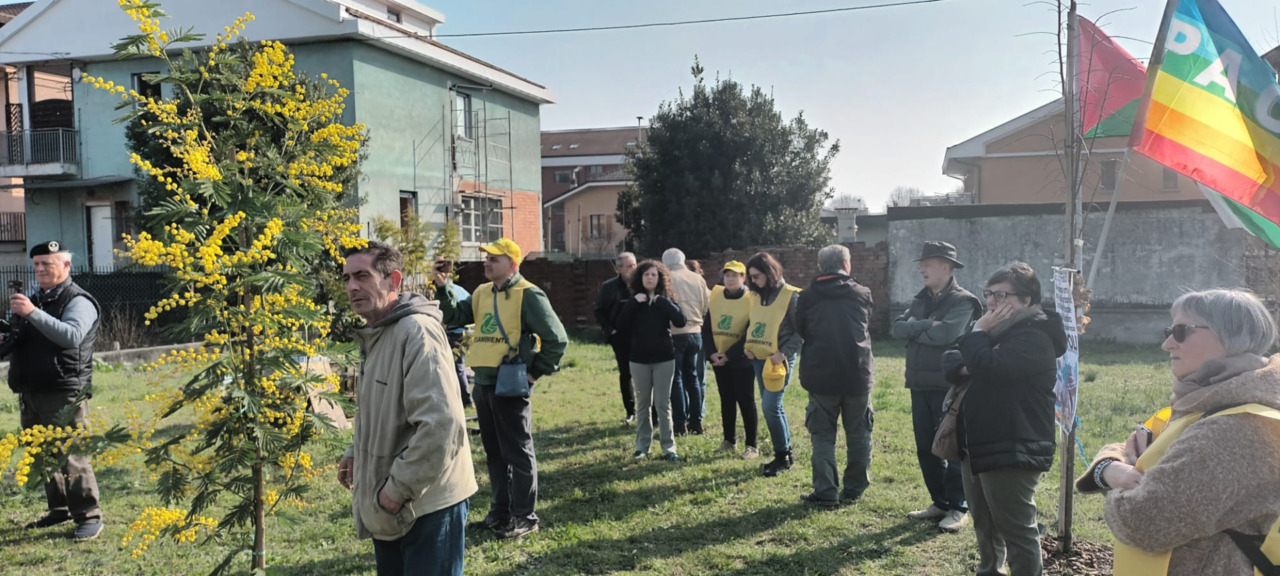 Festa dell’Albero di primavera a Settimo: piantata una magnolia dedicata a Mahsa Amini