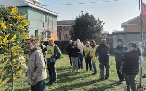 Festa dell’Albero di primavera a Settimo: piantata una magnolia dedicata a Mahsa Amini