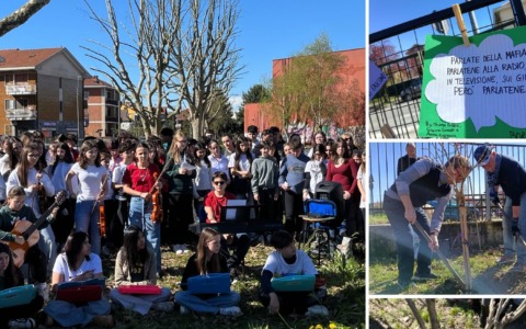 A San Mauro Torinese una pianta per la legalità in memoria di Falcone e Borsellino