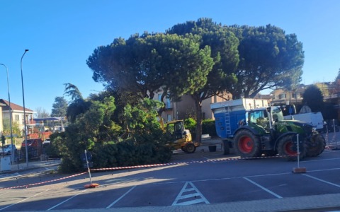 Castiglione Torinese: manutenzione del verde, divieti e chiusure