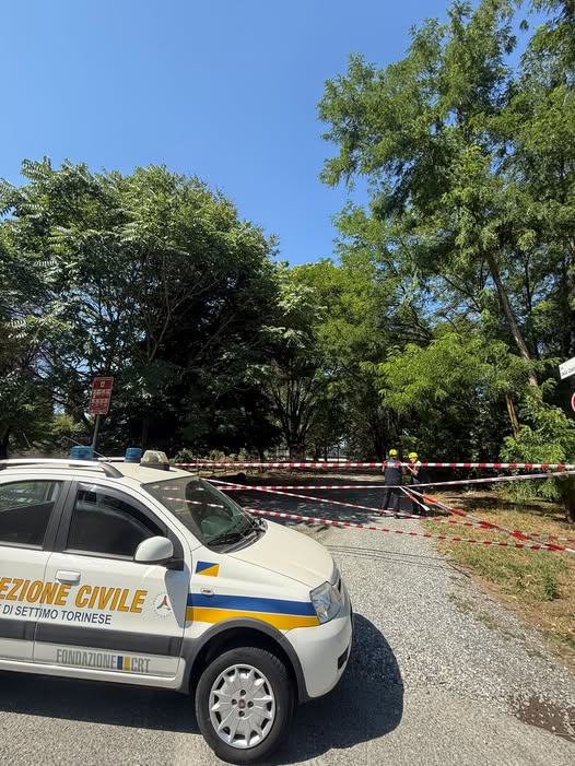 Vento forte abbatte albero all’Oasi della Speranza, transennata un’area del parco