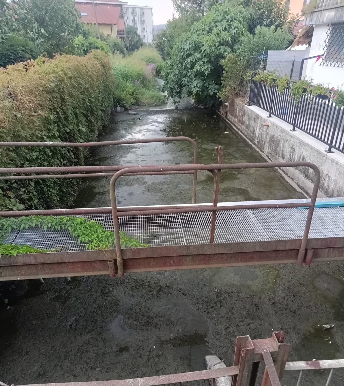 Tra fango e topi, lo stato del rio Freidano a Settimo