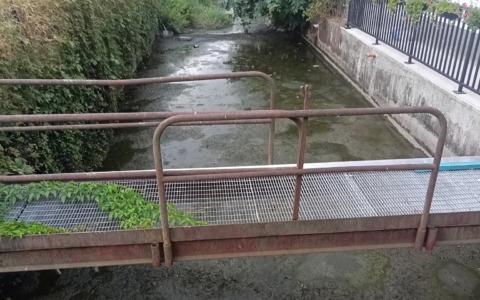 Tra fango e topi, lo stato del rio Freidano a Settimo