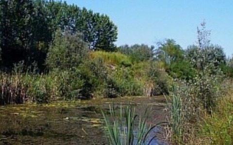 Lago della Sorgente a San Mauro, si cerca un nuovo gestore ma scoppia la polemica