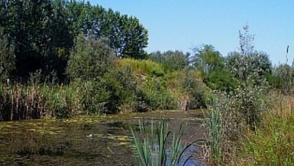 Lago della Sorgente a San Mauro, si cerca un nuovo gestore ma scoppia la polemica